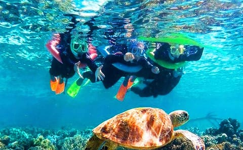 North Side Snorkel Adventure in the Caribbean Sea