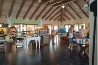 Half Day Private Tour to Botanical Garden in Chania 7