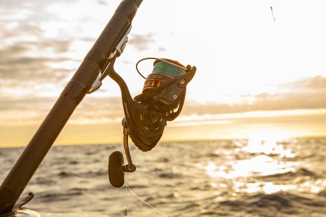 Reef Fishing Experience from Portimao 7