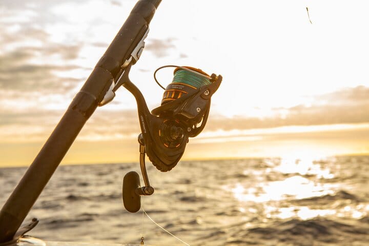Reef Fishing Experience from Portimao 7
