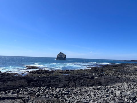 Reykjanes Peninsula Private Tour: Geothermal Areas, Volcanoes, Cliffs & Bridge Between Continents | Complimentary KEF Airport Pickup or Drop, photo 4