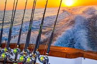 Private Deep Sea Fishing in Montego Bay  3