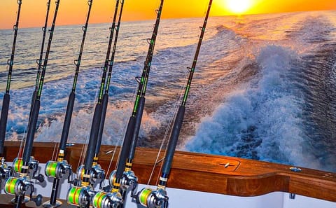 Private Deep Sea Fishing Adventure in Montego Bay