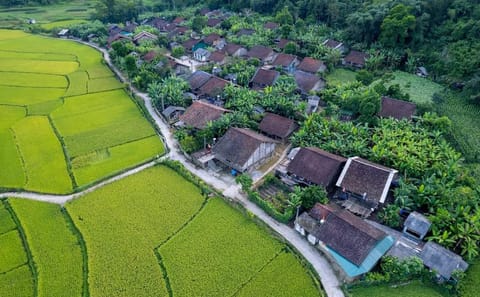 5-Day Adventure Trekking Tour in Cao Bằng, Vietnam