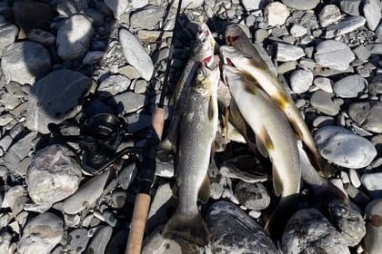 Fishing Trout in Albania – Just 1 hour driving from Tirana