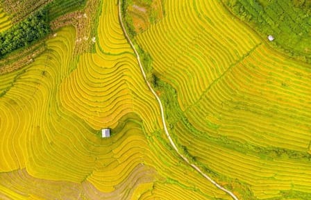 Remote Sapa Tour in Countryside of Nam Cang – Nam Nhiu Villages