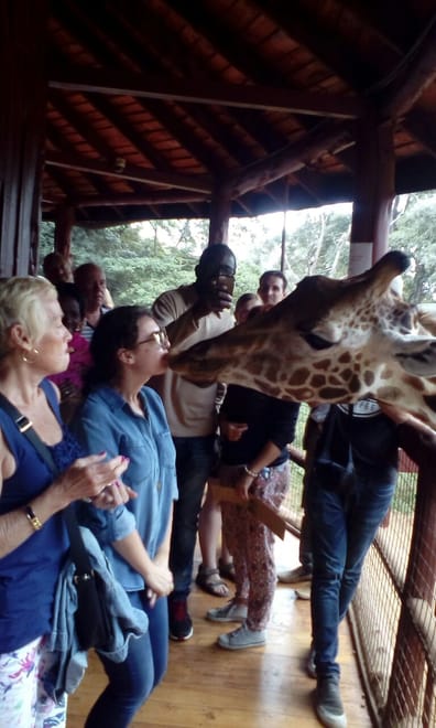 Giraffe Center Half-Day Trip from Nairobi 10