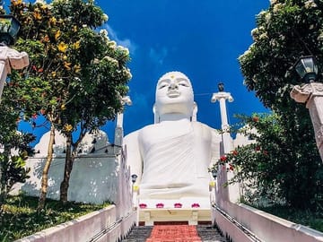 Sri Lanka 5-Day Bus Tour: Explore Bentota, Colombo, and Ella