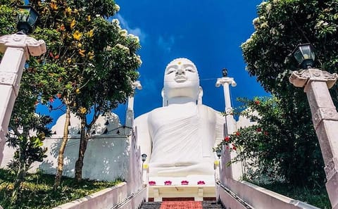 Sri Lanka 5-Day Bus Tour: Explore Bentota, Colombo, and Ella