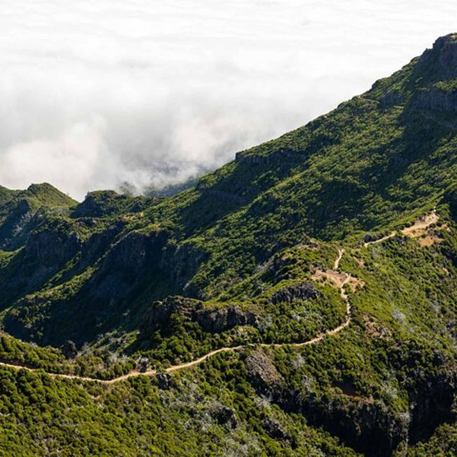 PR1 Pico do Arieiro: transfer de manhã