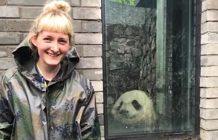 Dujiangyan Panda Volunteering Experience with Lunch Included