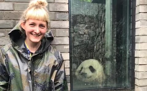 Dujiangyan Panda Volunteering Experience with Lunch Included