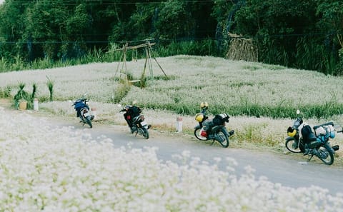 2-Day Ha Giang Loop Motorbike Adventure from Hanoi