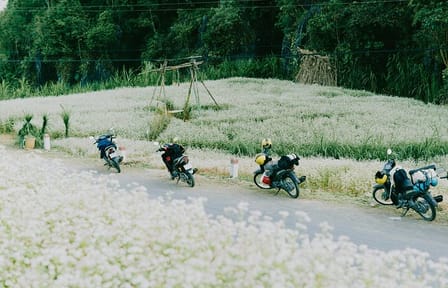 2-Day Ha Giang Loop Motorbike Adventure from Hanoi