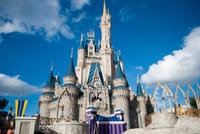 Multi-Day Orlando Parks Package from Miami 2