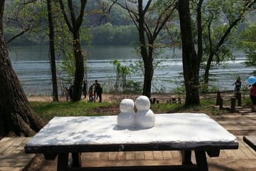 Muslim Tour (Nami Island + Petite France)