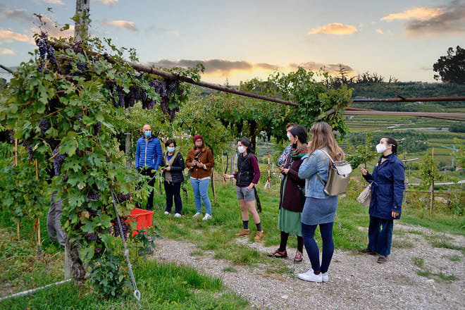 Wine tasting in Valpolicella Classica: the cradle of Amarone photo 3