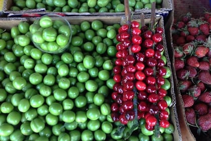 Culinary Adventure Through Tbilisi’s Dezerter’s Bazaar