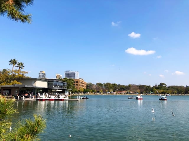 Private Fukuoka Full-Day Tour by Chartered Vehicle 4