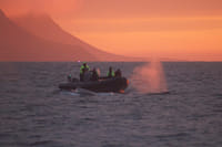 Akureyri Express Whales in the Midnight Sun 1