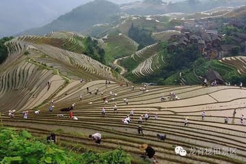 Private Day Tour of Longji Rice Terraces and Minority Villages