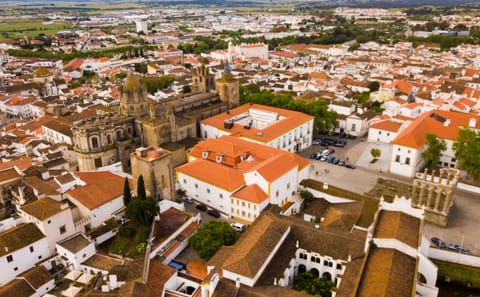 Private Half-Day Évora City Tour from Lisbon