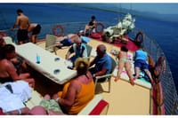 12 Island Boat Trip