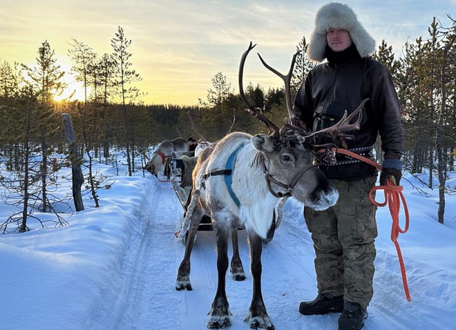 Long Reindeer Safari in the nature of Lapland (sleigh ride about 50-60 min)