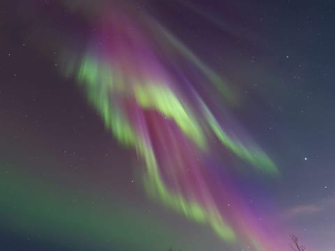 Exclusive 3-Hour NORTHERN LIGHTS Experience – Private Tour, photo 4