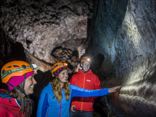 Whale Watching & Caving, photo 7