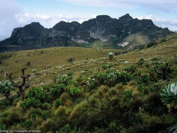 Overnight Safari To Aberdare National Park From Nairobi