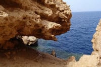 Discover Ras Muhammed Half Day by Bus Trip - Sharm El Sheikh