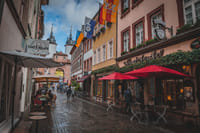 Heidelberg in 1 Day - Walking Tour - Audioguide in 7 languages 5