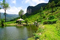 James Taylor Tea Estate from Kandy 1