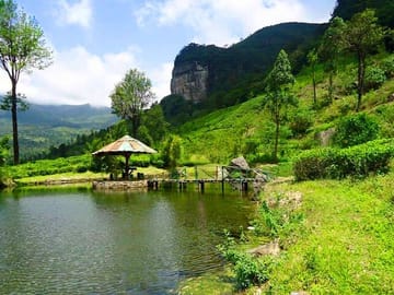 James Taylor Tea Estate Tour from Kandy to Rikillagaskada