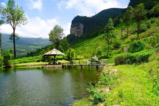 James Taylor Tea Estate from Kandy