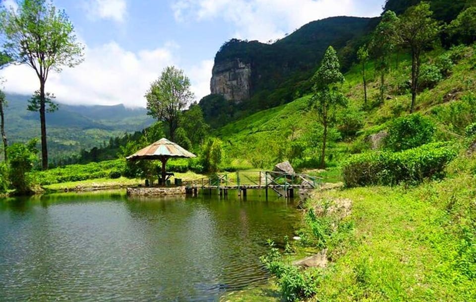 James Taylor Tea Estate From Kandy