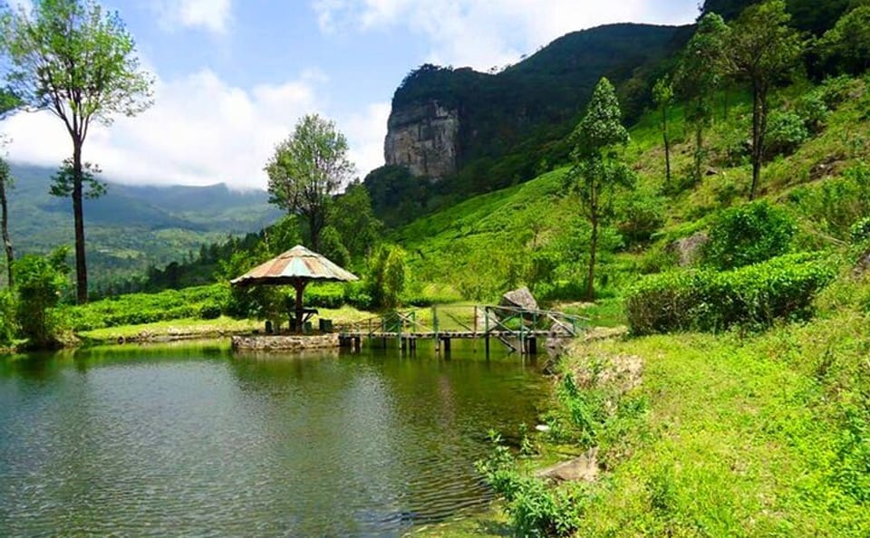 James Taylor Tea Estate Tour from Kandy to Rikillagaskada