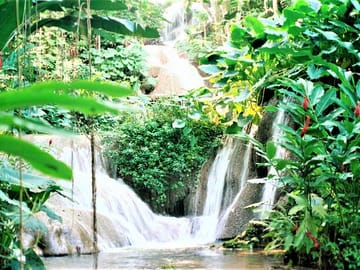 Dunns River Falls & Park