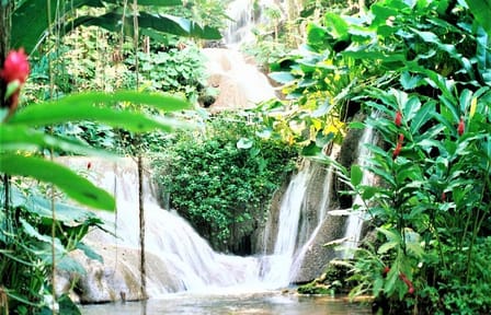 Dunn's River Falls and Ocho Rios Tour from Montego Bay