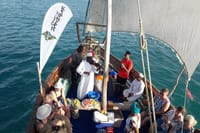 Private Full-Day Cruise on Sandbank and Kwale Island 6