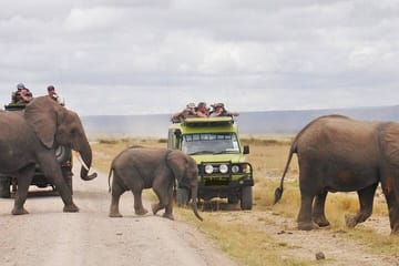 4 Days Maasai Mara Flying Luxury Safari at Keekorok Lodge on Jeep