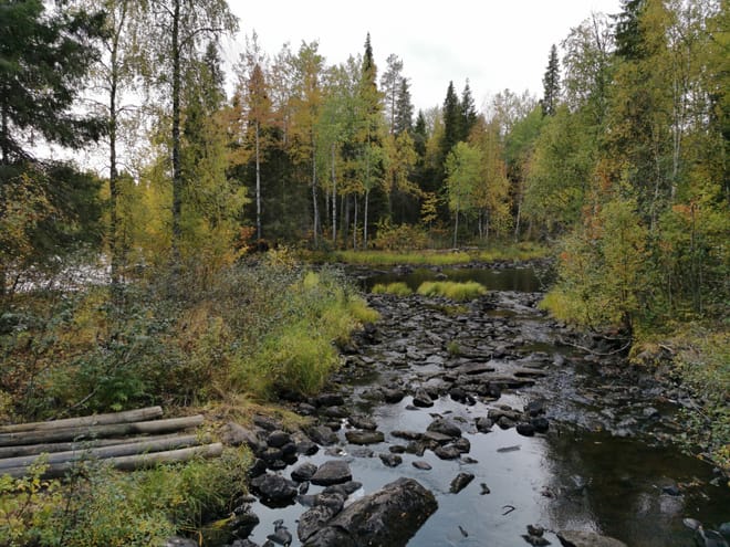 Hiking tour to Vaattunkiköngäs 6