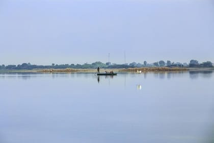Nal Sarovar Bird Sanctuary & Lothal Day Tour from Ahmedabad