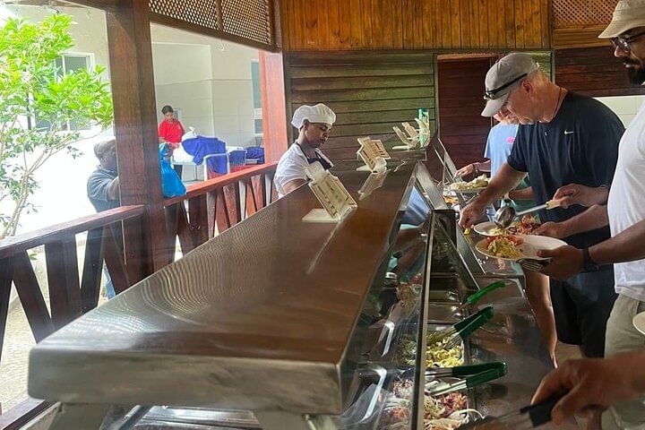 Damajagua Waterfalls and Monkey Private Van Tour