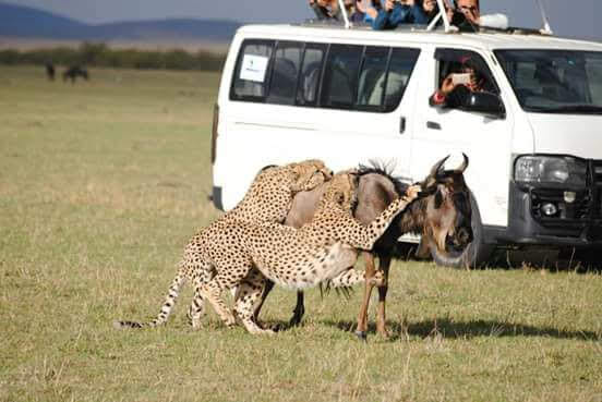 Road Transfer from Nairobi to Amboseli 2