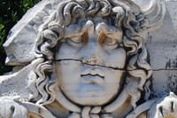 Medusa head 
