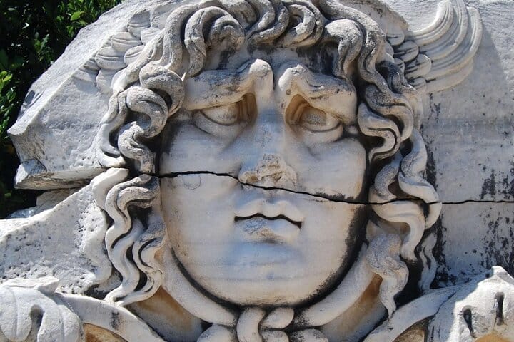 Medusa head 