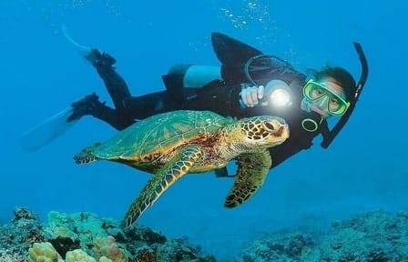 Kemer Scuba Diving and Snorkeling Trip