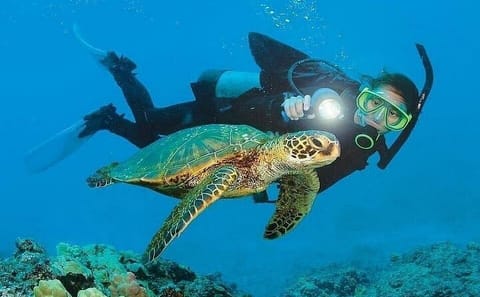 Scuba Diving and Snorkeling Adventure in Göynük, Türkiye